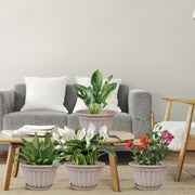 10 Inch Plants Pot,4 Pack Flower Pots,Planters Pot with Drainage Hole & Saucer,Modern Planters for Indoor Outdoor Plants,Decorative Resin Garden Pots for Outdoor Indoor Home Plants (Beige)